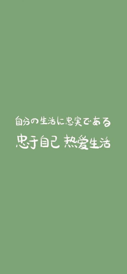 壁纸 这批手机壁纸适合你