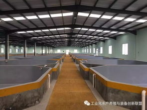 句句精华 陈海龙教你认识什么是工厂化水产养殖系统